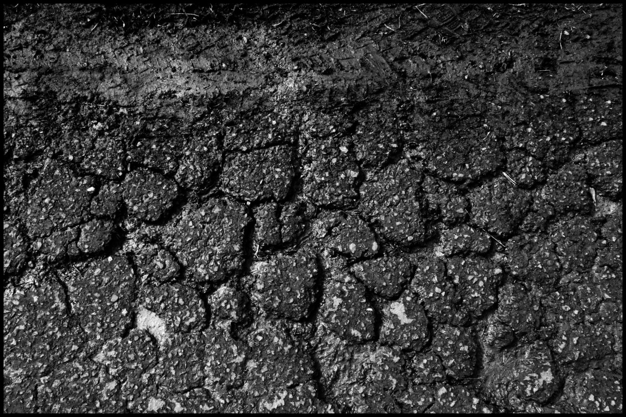 © Louise Badawi 2012