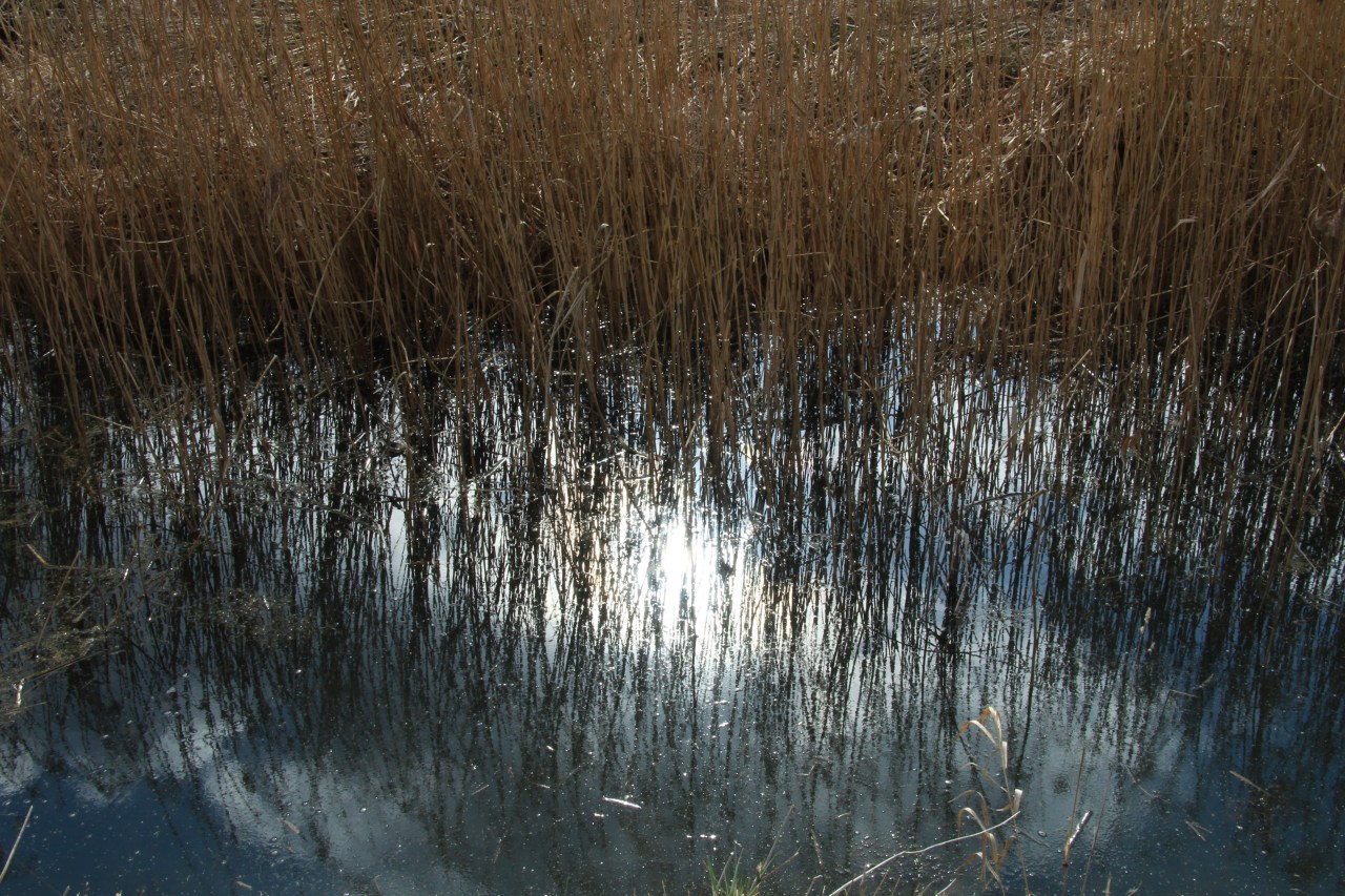 © Louise Badawi 2012