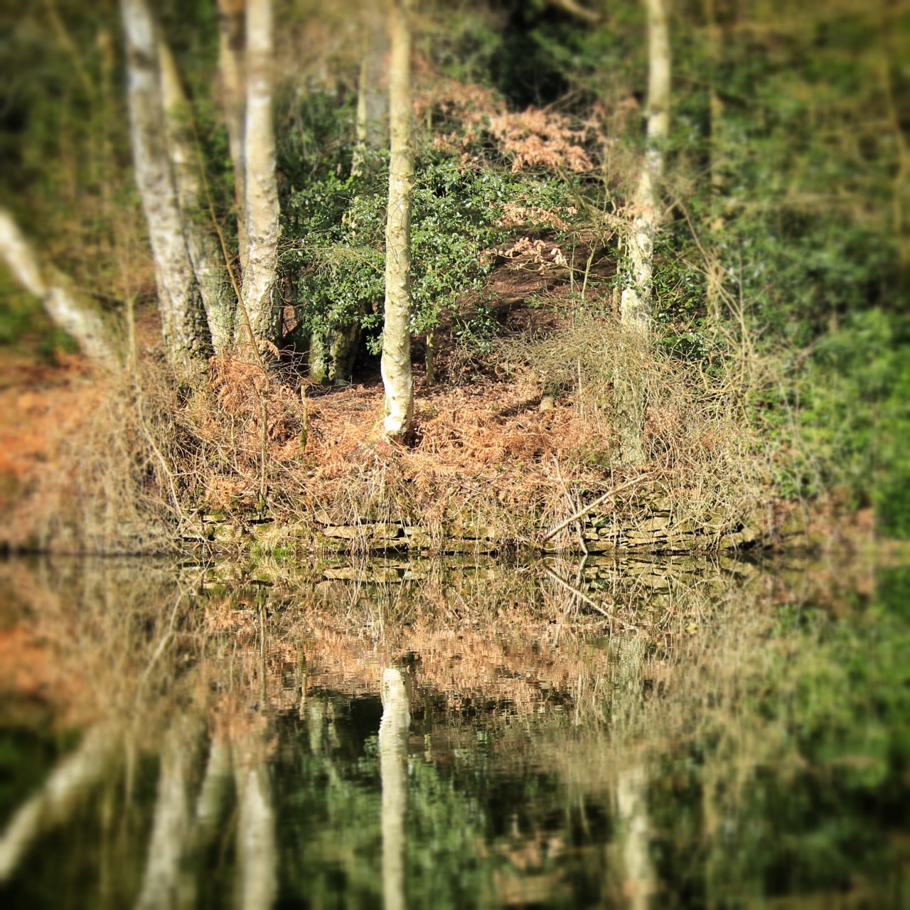 © Louise Badawi 2013, all rights reserved