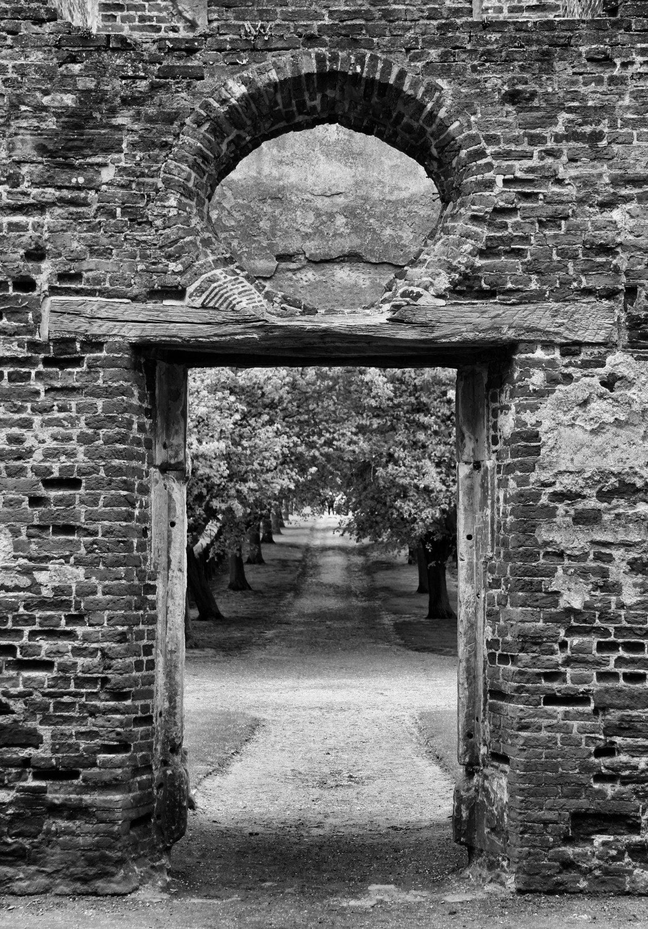 © Louise Badawi 2013