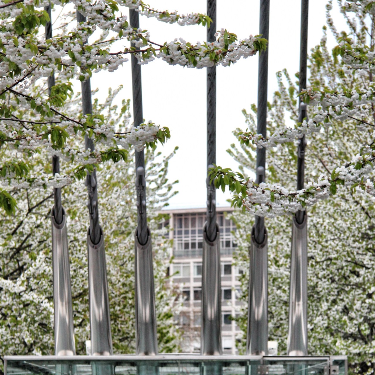 © Louise Badawi 2013