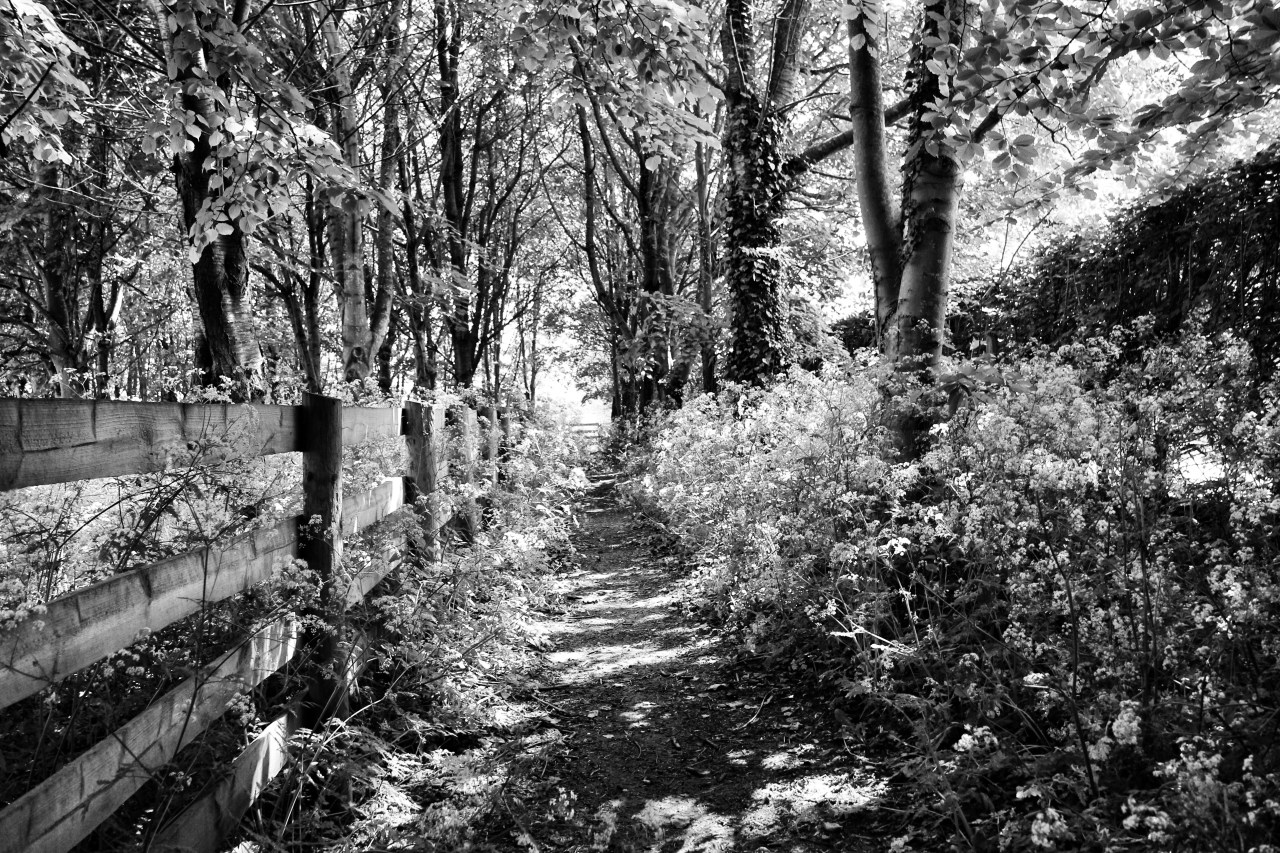 © Louise Badawi 2013, all rights reserved