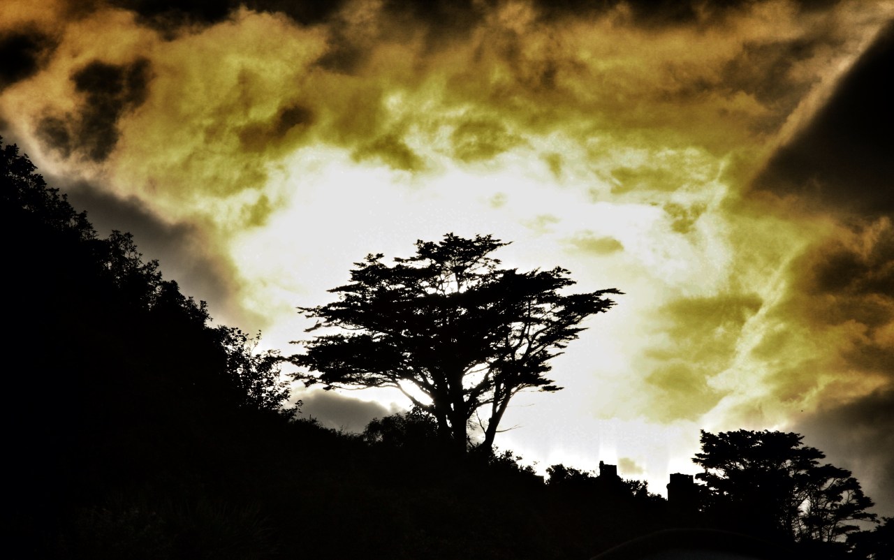 © Louise Badawi 2013